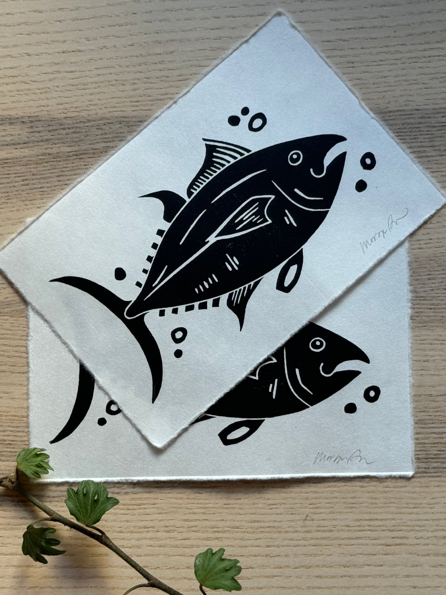 Atlantic Bluefin Tuna Mini