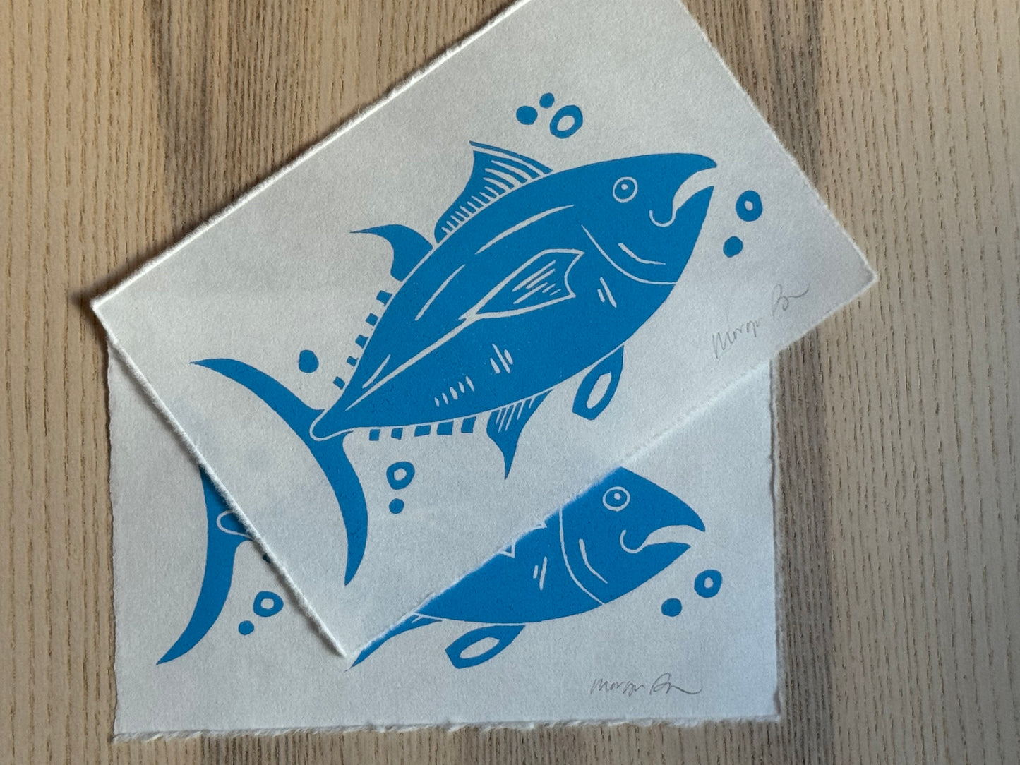 Atlantic Bluefin Tuna Mini