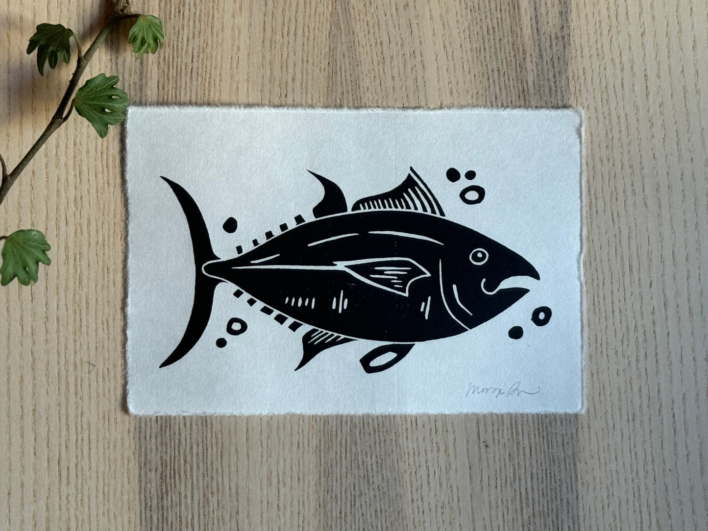 Atlantic Bluefin Tuna Mini